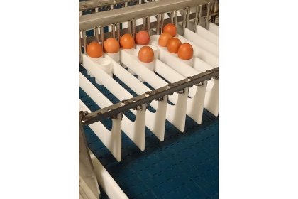 The Nectra SAS system handles eggs with great care. Photo: EuroTier The Nectra SAS system handles eggs with great care. Photo: EuroTier