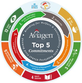 Aviagen's top 5 commitments enables them to breed for welfare and sustainability while supplying global demand. Photo: Aviagen Aviagen's top 5 commitments enables them to breed for welfare and sustainability while supplying global demand. Photo: Aviagen