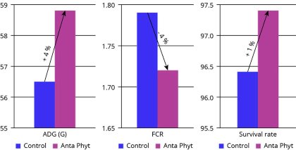 Phytogenics: Plant power for a sustainable future Phytogenics: Plant power for a sustainable future