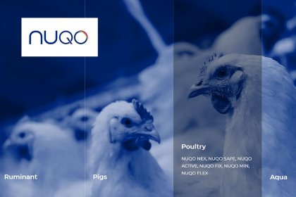 The company claims its solutions help animal performance, health and welfare. Photo: NUQO website The company claims its solutions help animal performance, health and welfare. Photo: NUQO website