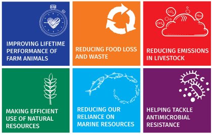 The 6 key sustainability platforms cover everything from reducing the dependancy on marine resources to reducing waste and food loss. Photo: DSM The 6 key sustainability platforms cover everything from reducing the dependancy on marine resources to reducing waste and food loss. Photo: DSM