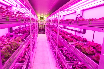 Attendees could experience the urban crop systems from Green Crop Solutions. Photo: Koos Groenewold Attendees could experience the urban crop systems from Green Crop Solutions. Photo: Koos Groenewold