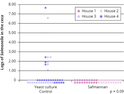 Reducing Salmonella and its impact on the poultry industry Reducing Salmonella and its impact on the poultry industry