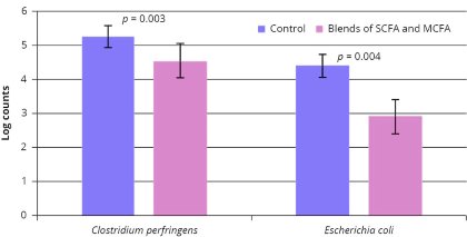 Reducing neonatal diarrhoea without antimicrobials Reducing neonatal diarrhoea without antimicrobials