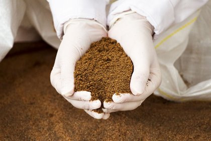 There is much potential for insects in poultry feed as the production of insects demands limited amounts of water and land and they can add value to low-value by-products. Photo: Koos Groenewold There is much potential for insects in poultry feed as the production of insects demands limited amounts of water and land and they can add value to low-value by-products. Photo: Koos Groenewold