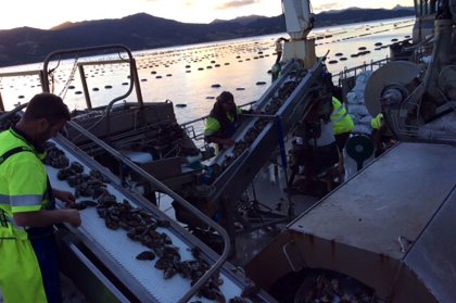Instead of mussel waste being dumped into the oceans or sent to land fill, it is now collected by Frenz and used as a valuable and nutritious feed ingredient. Photo: Frenz Instead of mussel waste being dumped into the oceans or sent to land fill, it is now collected by Frenz and used as a valuable and nutritious feed ingredient. Photo: Frenz