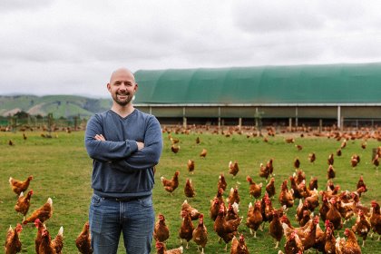 Desperate measures had to be taken at the Wairarapa egg farm in the face of a slump in demand. Photo: Chris McCullough Desperate measures had to be taken at the Wairarapa egg farm in the face of a slump in demand. Photo: Chris McCullough