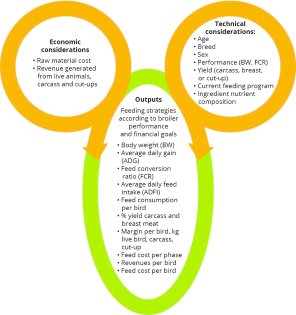 Leveraging the value of feed data Leveraging the value of feed data