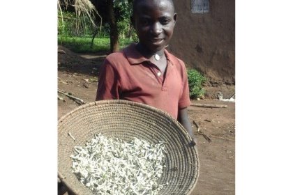 UK charity makes a difference to Ugandan poultry farmers UK charity makes a difference to Ugandan poultry farmers