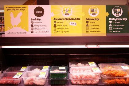Chicken of Tomorrow is here today - page 6 - Photo: Michel Zoeter Chicken of Tomorrow is here today - page 6 - Photo: Michel Zoeter