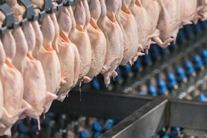 Over 19% of all poultry meat exported from Brazil is destined for China. Photo: Koos Groenewold Over 19% of all poultry meat exported from Brazil is destined for China. Photo: Koos Groenewold