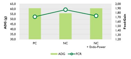 Maintaining broiler performance while reducing feed cost Maintaining broiler performance while reducing feed cost