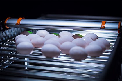 The EggXact egg counter is specifically designed for real-time communication for optimal egg flow control. Photo: Hotraco Agri The EggXact egg counter is specifically designed for real-time communication for optimal egg flow control. Photo: Hotraco Agri