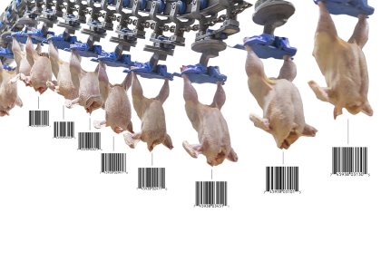Correct traceability of products through the whole production chain is at the forefront of food safety. Photo: Marel Correct traceability of products through the whole production chain is at the forefront of food safety. Photo: Marel