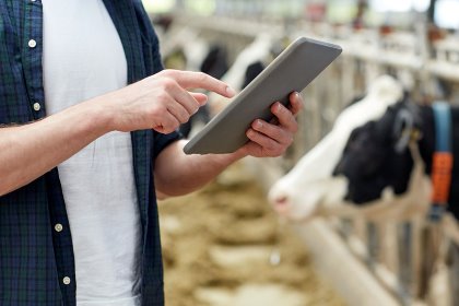Development of software to collect, manage, run predictive models, integrate, and serve data to livestock producers is important. Photo: Syda Productions Development of software to collect, manage, run predictive models, integrate, and serve data to livestock producers is important. Photo: Syda Productions