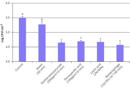 Bacteriophages role in poultry production Bacteriophages role in poultry production