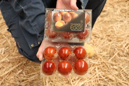 The smoked eggs are very versatile and can be poached, fried, scrambled, or used in various dishes. Photo: Dick van Doorn The smoked eggs are very versatile and can be poached, fried, scrambled, or used in various dishes. Photo: Dick van Doorn