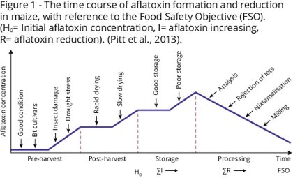 Minimising mycotoxin risks in real time Minimising mycotoxin risks in real time