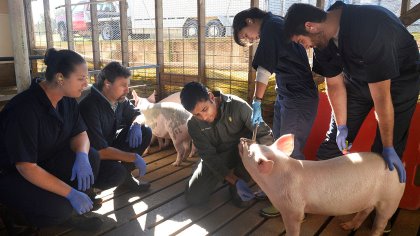 Mr Thakur working with a group of students in the field as part of his salmonella research programme. Photo: North Carolina State University Mr Thakur working with a group of students in the field as part of his salmonella research programme. Photo: North Carolina State University