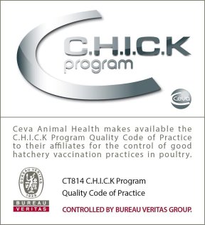 The C.H.I.C.K Program and its quality recognition by Bureau Veritas program is now part of the values of our teams of vaccination services specialists around the world. Photo: Ceva Sante Animale The C.H.I.C.K Program and its quality recognition by Bureau Veritas program is now part of the values of our teams of vaccination services specialists around the world. Photo: Ceva Sante Animale
