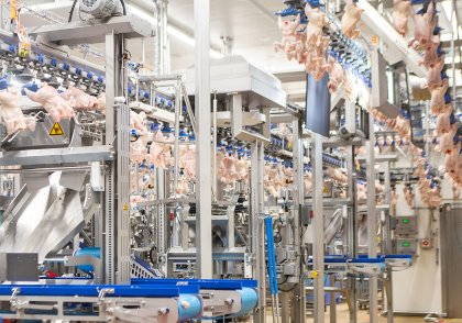 For years manufacturers in poultry processing equipment have been pushing for innovations that reduce the need for people on the processing lines.. Photo: Martijn Willems For years manufacturers in poultry processing equipment have been pushing for innovations that reduce the need for people on the processing lines.. Photo: Martijn Willems