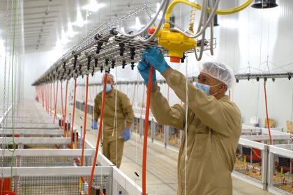 Photo: Trouw Nutrition Photo: Trouw Nutrition