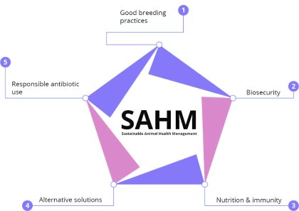 A learning process across all species A learning process across all species