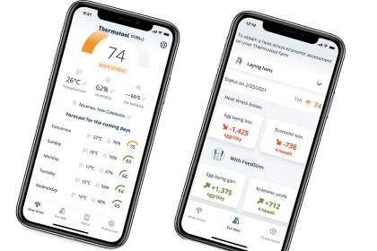 Example of measurement of THI and risk index from the Thermotool app; prediction of the next 5 days and economic data. Photo: CCPA Example of measurement of THI and risk index from the Thermotool app; prediction of the next 5 days and economic data. Photo: CCPA