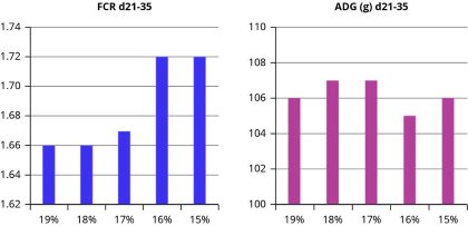 Poultry feed formulation in an antibiotic free era Poultry feed formulation in an antibiotic free era