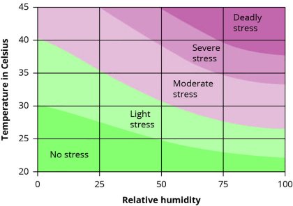 Heat stress kicks in at 21°C Heat stress kicks in at 21°C