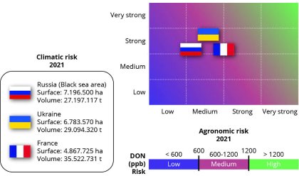 DON is expected in wheat, increasing risk for piglets DON is expected in wheat, increasing risk for piglets