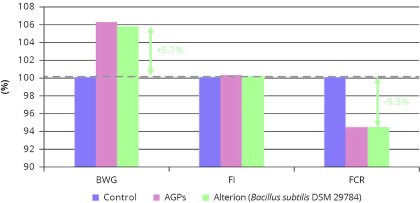Sustaining animal resilience post-AGP Sustaining animal resilience post-AGP