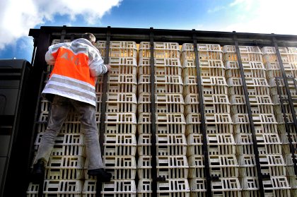 Stakeholders in the poultry sector tailored their own approach, but that doesn't exclude them from government inspections. Photo: ANP Stakeholders in the poultry sector tailored their own approach, but that doesn't exclude them from government inspections. Photo: ANP