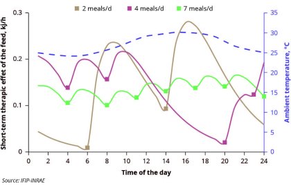 Can we face heat waves with adapted feeding strategies? Can we face heat waves with adapted feeding strategies?