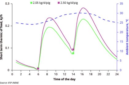 Can we face heat waves with adapted feeding strategies? Can we face heat waves with adapted feeding strategies?
