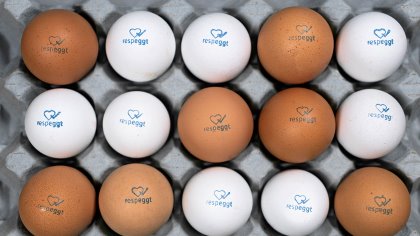 After almost a decade of research, the first eggs were sold in 2018 in 9 supermarkets in the Berlin area. Photo: Seleggt After almost a decade of research, the first eggs were sold in 2018 in 9 supermarkets in the Berlin area. Photo: Seleggt