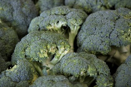 Broccoli is a nutritious vegetable rich in dietary fibres, vitamins, minerals and phytochemicals. Photo: Jan Willem Schouten Broccoli is a nutritious vegetable rich in dietary fibres, vitamins, minerals and phytochemicals. Photo: Jan Willem Schouten