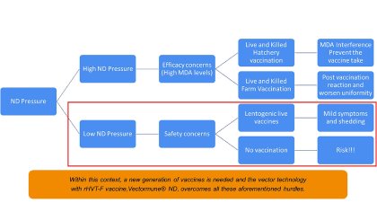 Live ND vaccines inadequate for low ND challenged countries Live ND vaccines inadequate for low ND challenged countries