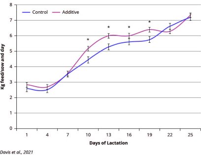 Prevention better than cure to cope with heat stress Prevention better than cure to cope with heat stress
