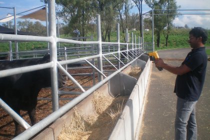 New technology can provide a quantum of data to assess the thermal balance in heat stressed animals. Photo: Veerasamy Sejian New technology can provide a quantum of data to assess the thermal balance in heat stressed animals. Photo: Veerasamy Sejian