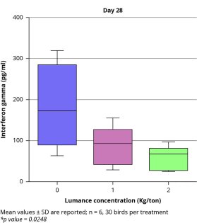 Mitigating chronic gut inflammation in animal production Mitigating chronic gut inflammation in animal production