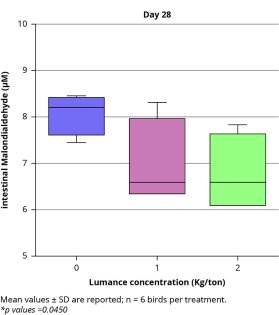 Mitigating chronic gut inflammation in animal production Mitigating chronic gut inflammation in animal production