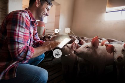 CCPA relies on a secured approach from the feed up to the farm. Photo: CCPA CCPA relies on a secured approach from the feed up to the farm. Photo: CCPA