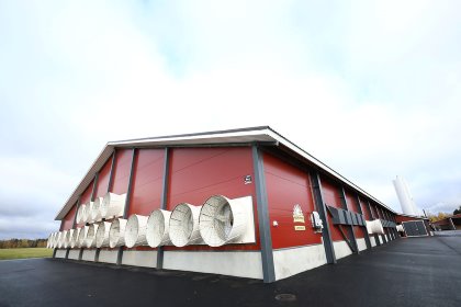 At Tiina Varho-Lankinen’s broiler farm in Finland, there are 3 houses, one which accommodates 15,000 broilers, a second which houses 30,000, and a third which has space for 75,000 broilers. Photo: Jorma Heikkila At Tiina Varho-Lankinen’s broiler farm in Finland, there are 3 houses, one which accommodates 15,000 broilers, a second which houses 30,000, and a third which has space for 75,000 broilers. Photo: Jorma Heikkila