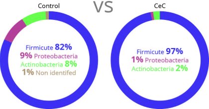 Better modulation of intestinal microbiota in poultry Better modulation of intestinal microbiota in poultry