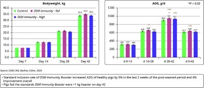 Better health begins with robust piglet immunity Better health begins with robust piglet immunity