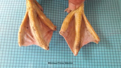 A new treatment service to treat the claws of ducks was developped by Grimaud and Novatec. Photo: Grimaud Freres A new treatment service to treat the claws of ducks was developped by Grimaud and Novatec. Photo: Grimaud Freres