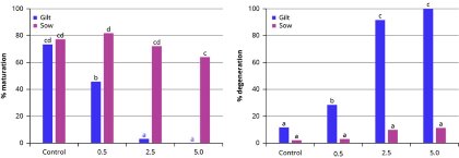 Impact of DON and BEA on oocyte development Impact of DON and BEA on oocyte development