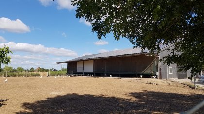 The converted cowshed where the birds were housed. Photo: Teun vd Braak The converted cowshed where the birds were housed. Photo: Teun vd Braak