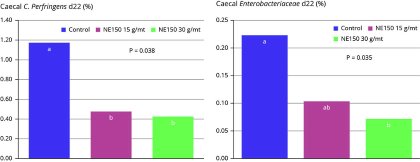 How thymol and carvacrol influence gut health How thymol and carvacrol influence gut health